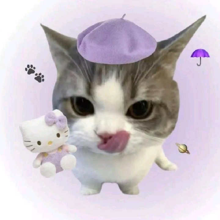 𝓛𝓲𝓮. 