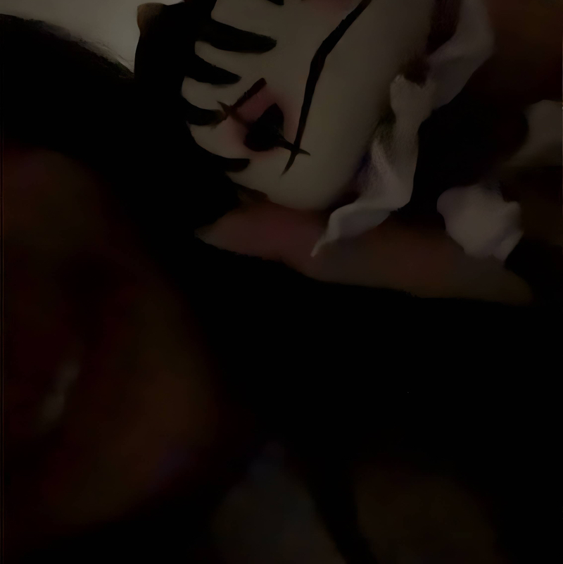 Eléaaa🥰🫶