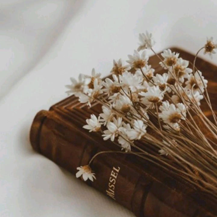 @fiee [LDR]
