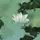 🥀 Quỳnh Anh 🌺