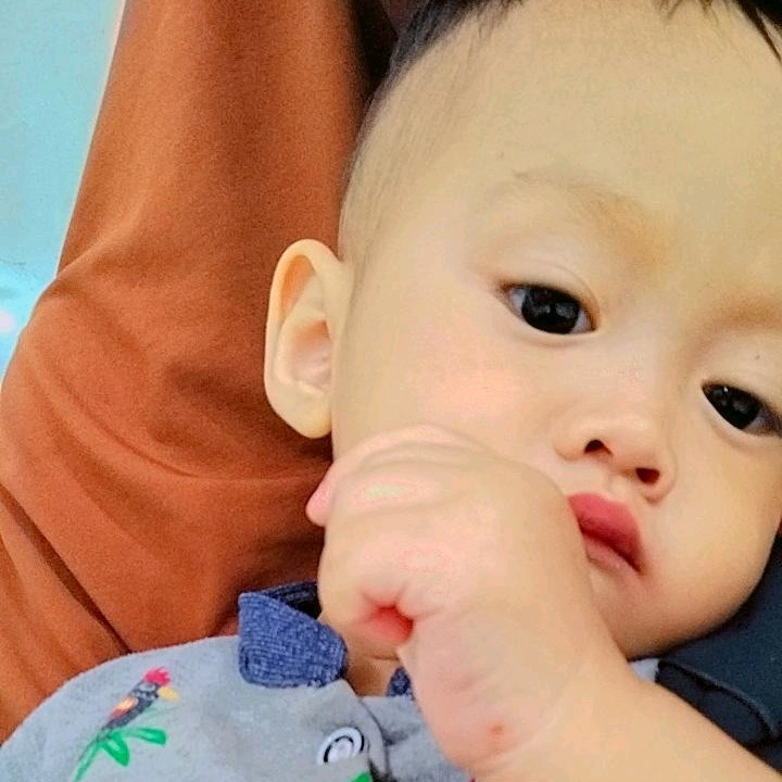 Meifungmei(LDR)