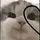 fira[LDR]
