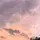 rara