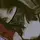 【MP】FLORKIE EDIT 