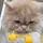 Quỳnhh Thyy🥨