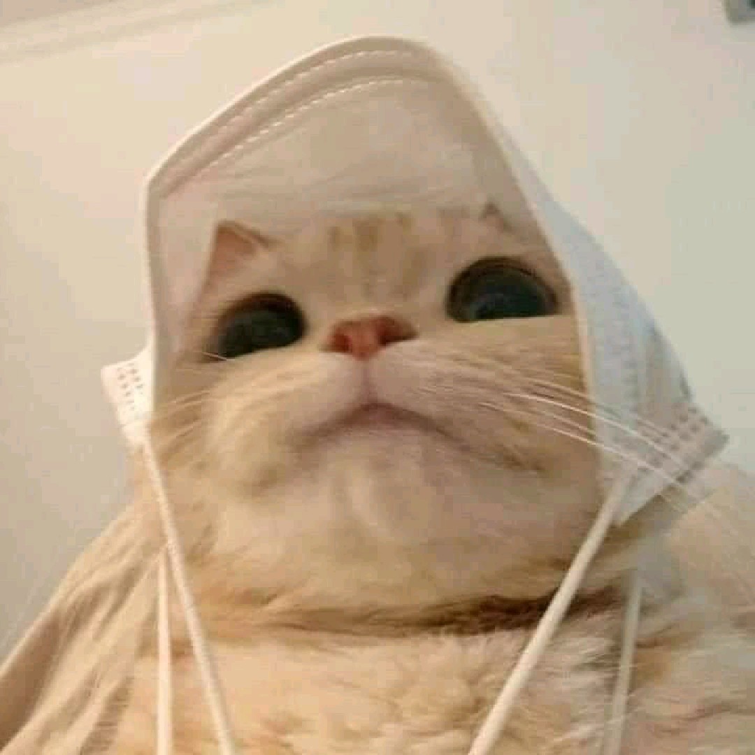 Nisaaaa
