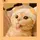 หญิงแอม ฯ