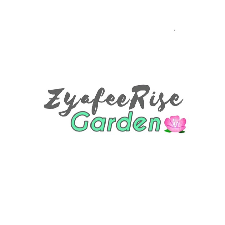 ZyafeeRise