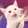 sᴡɪssʏ ᴄʀᴀғᴛ🎟️
