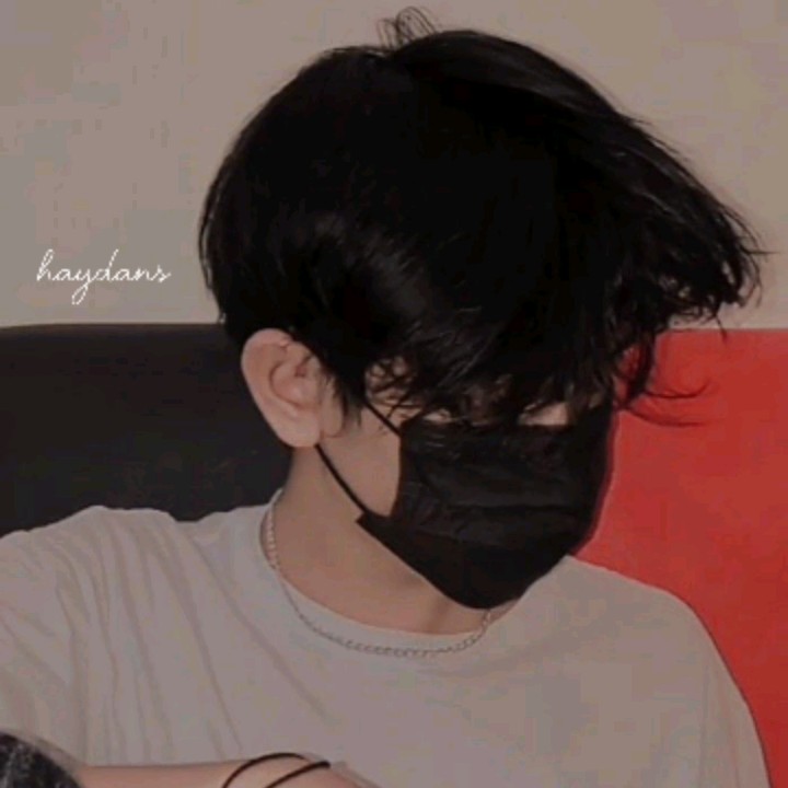 HaydansX
