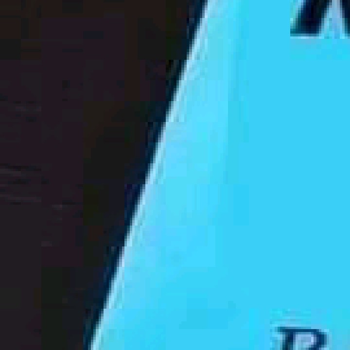 Can Pasaribu203