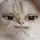 user088634