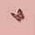 🦋