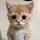 cxllme_อบ