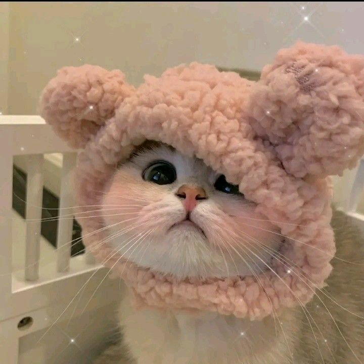 Akusiapa🙈✨