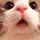 오몽키
