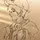 boy[HM]