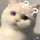 ntvan      ᥫᩣ