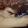 Fariu_9