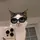 nebulaa [LDR]