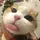 Faizaa[LDR]