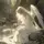 Mina Shinaka