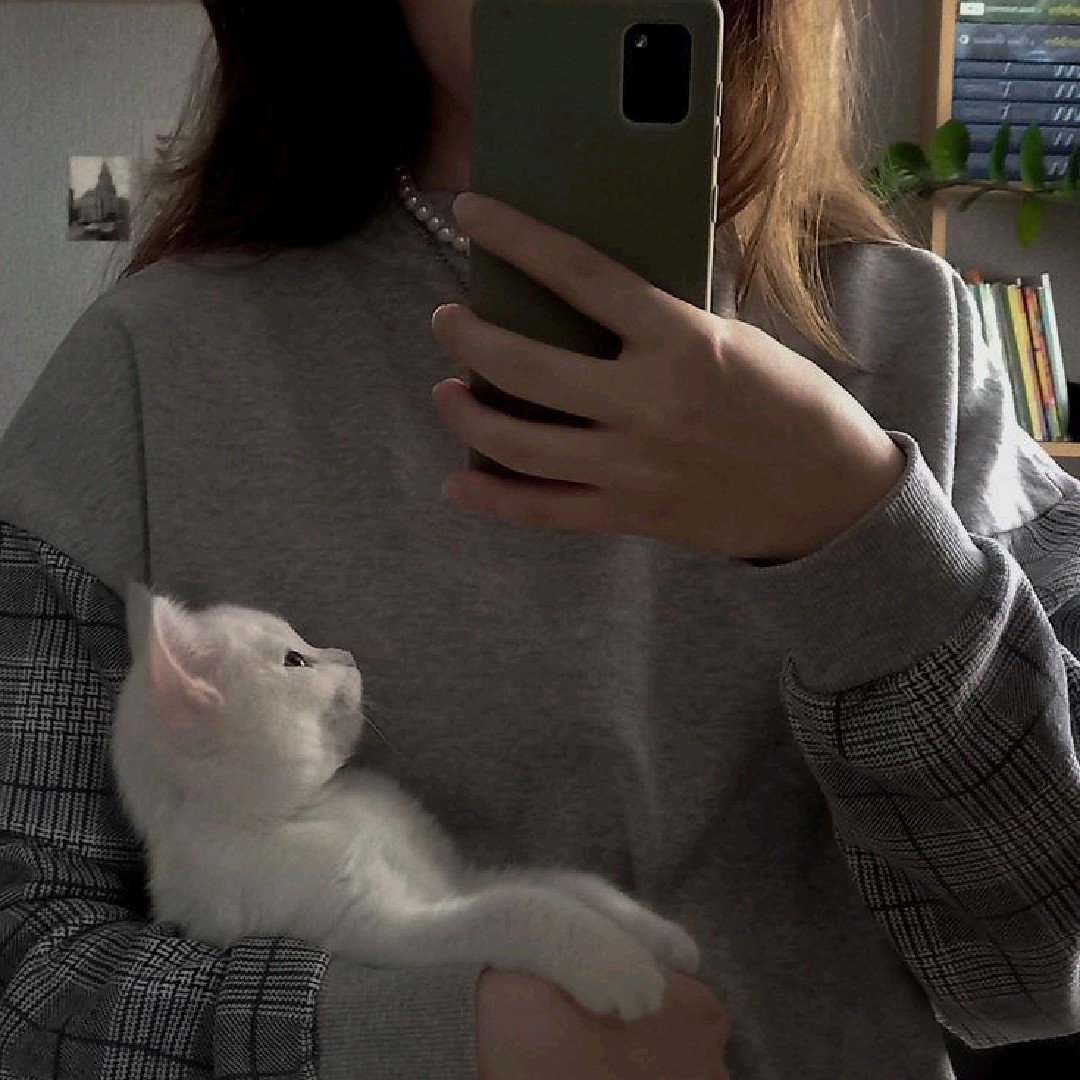 🦊𝘿𝙀𝙇𝙏𝘼[𝙍𝙁𝙎]