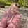 Eka Fitriyanti