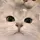 TwtMon 