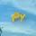 py