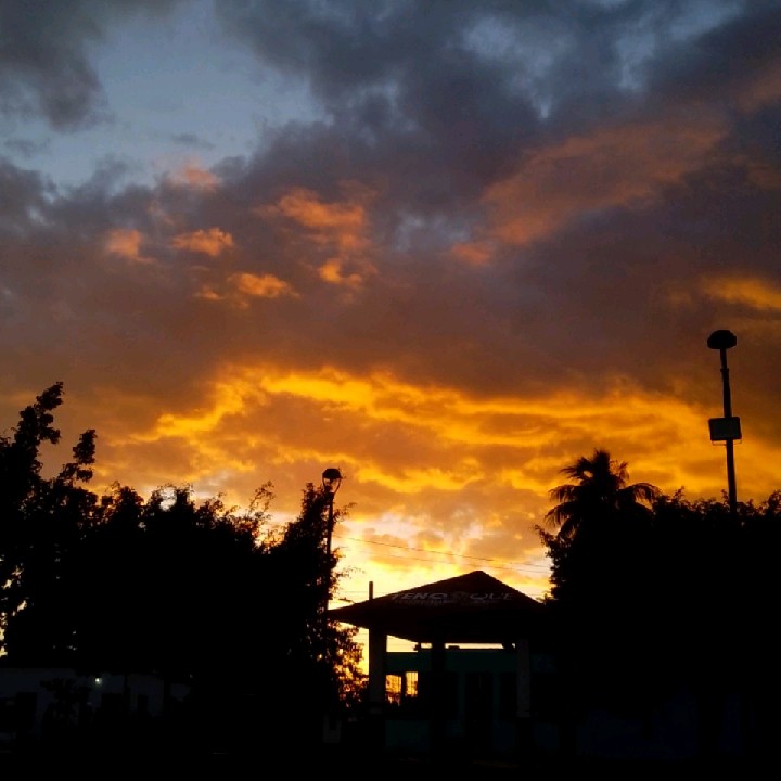 nic_23888