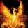 hbphoenix
