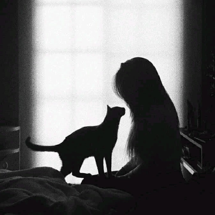 Nanda[LDR]