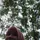 Halimatusd
