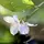wasi_23
