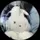 calhim