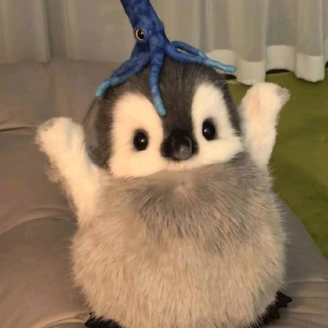 Nhiiii