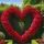 Alfarez763