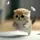 [LE]By Jah 