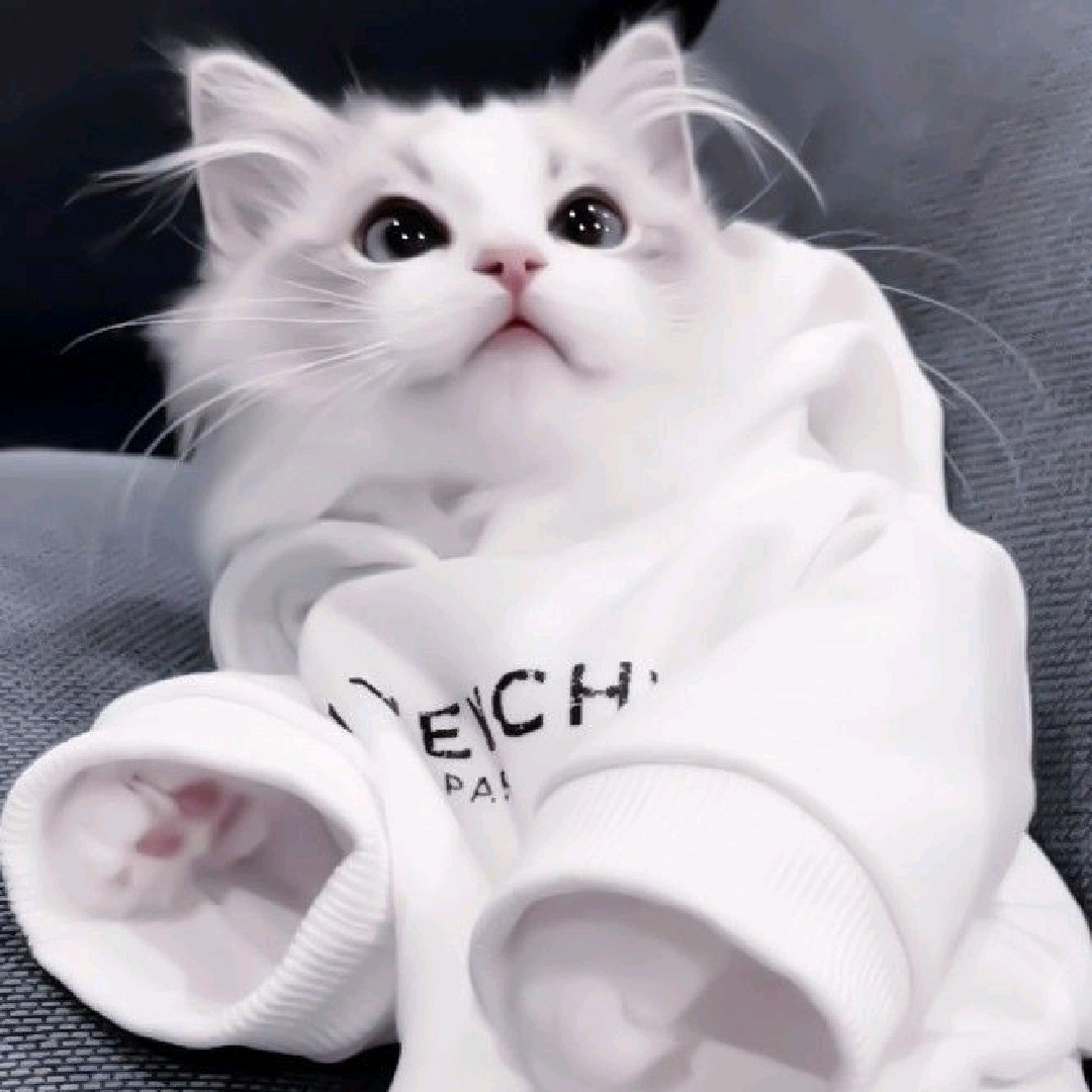 Hếnᥫᩣ
