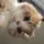 𝕄𝕖𝕠𝕟𝕘𝙱𝙾𝚈🐱