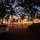 SUNSETT