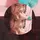 nly_rint *BCR