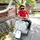 dex_molin