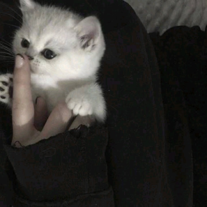 nayu[LDR]