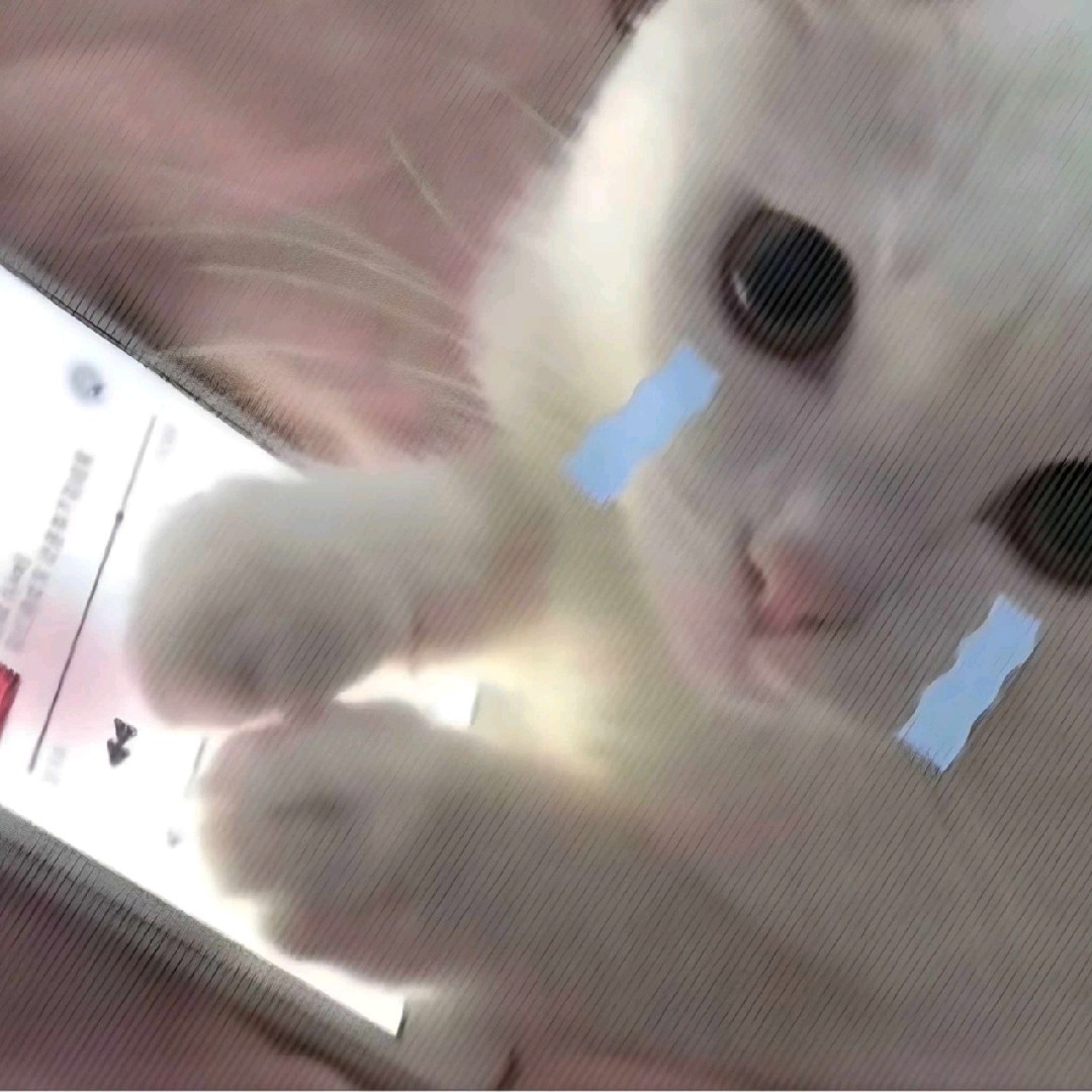 dtan