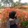 adninass