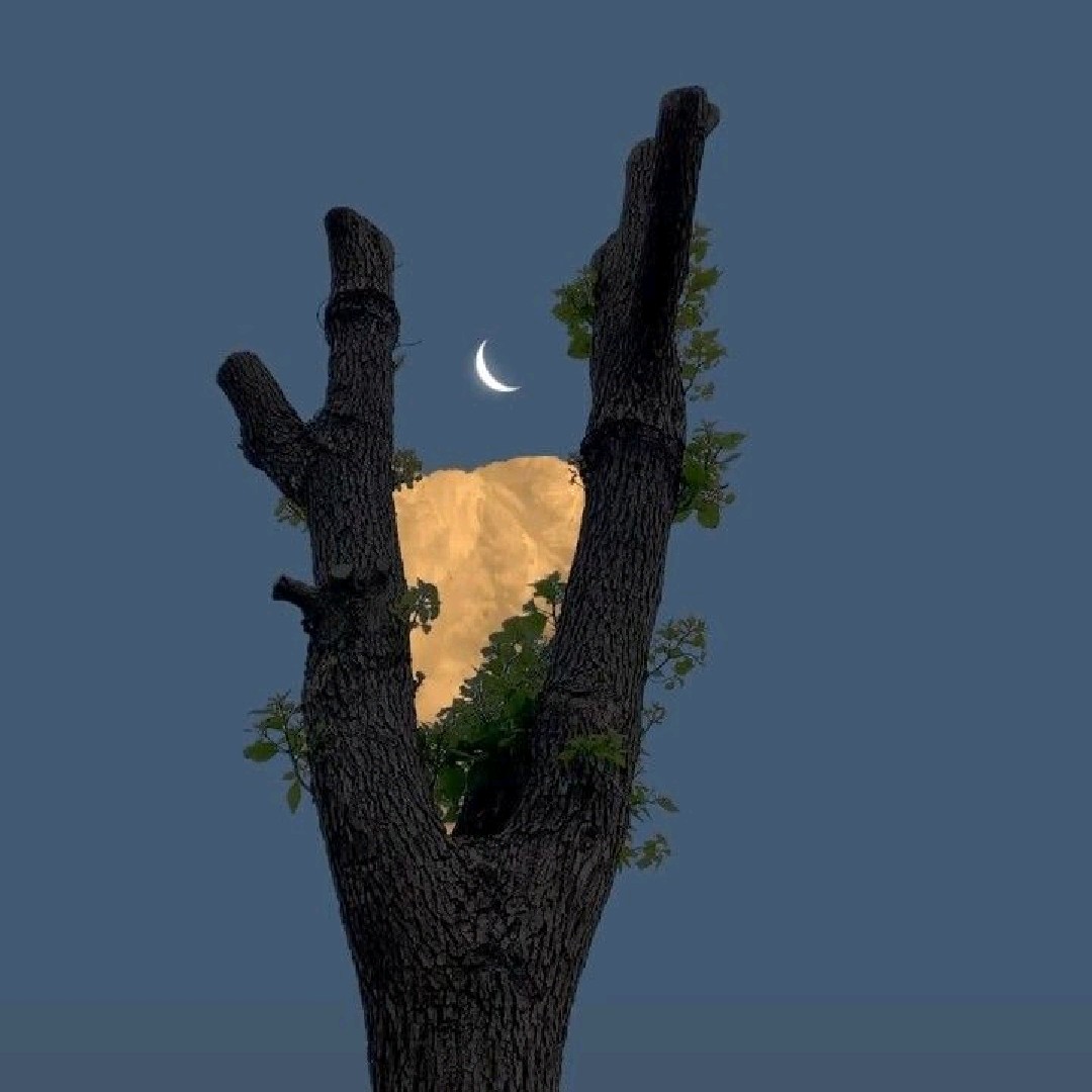 Sad Vibes🥀[LDR]