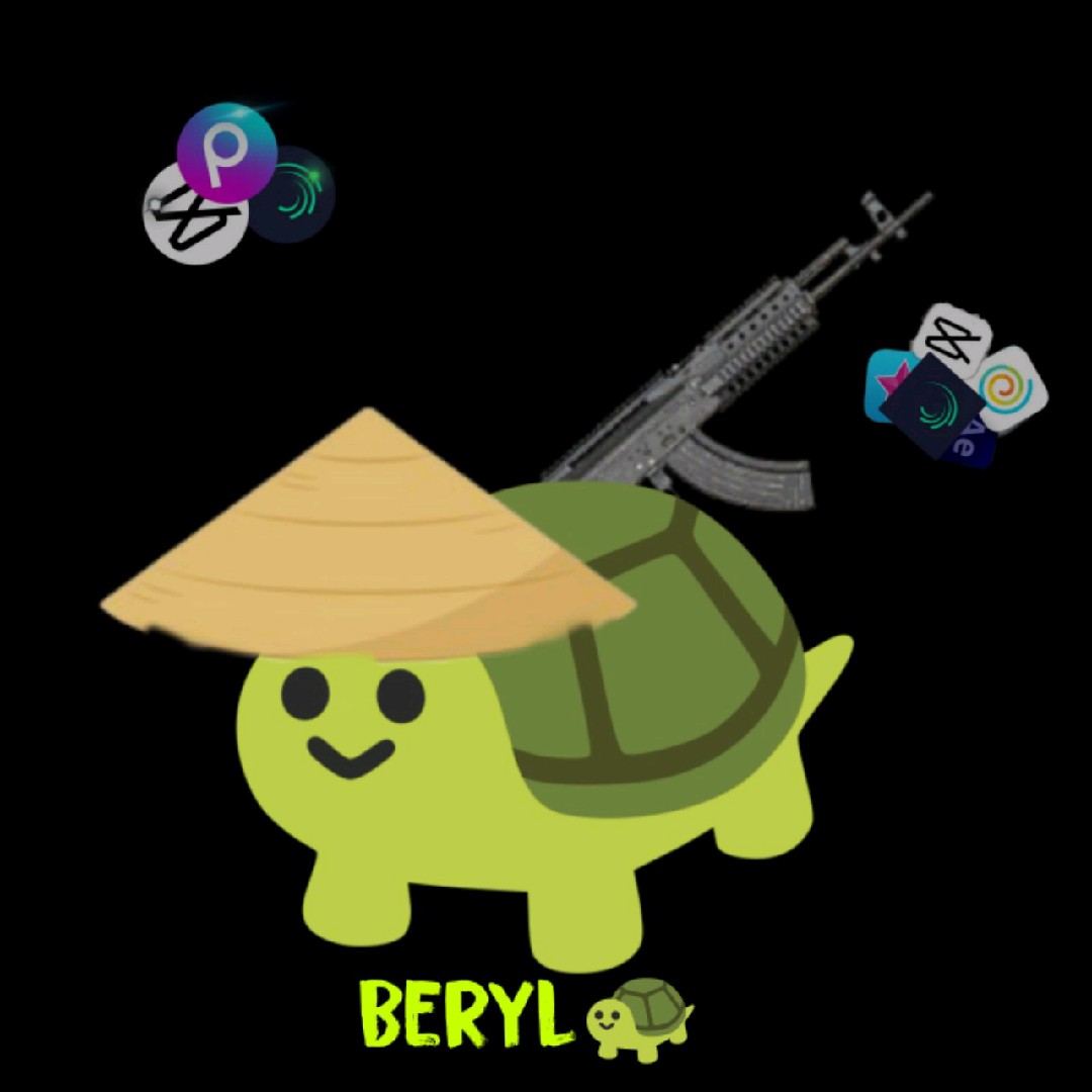 Beryl🐢