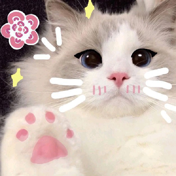 ◦♡°Mιℓкѕнαкє°♡◦ [CC]